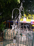 IMGP1106.jpg
