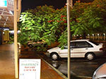 IMGP1112.jpg