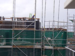 IMGP1124.jpg