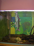 IMGP1131.jpg