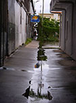 IMGP1163.jpg