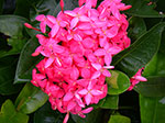 IMGP1174.jpg