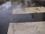 IMGP1178.jpg