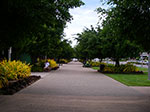IMGP1227.jpg