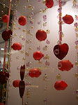IMGP1231.jpg