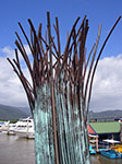 IMGP1239.jpg