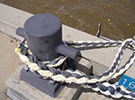 IMGP1245.jpg