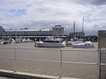 IMGP1251.jpg