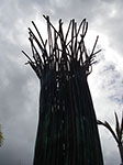 IMGP1253.jpg