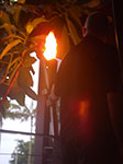 IMGP1276.jpg