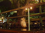 IMGP1283.jpg