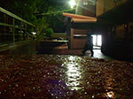 IMGP1324.jpg