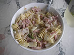 Photos