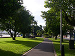 IMGP1388.jpg