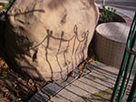 IMGP1391.jpg