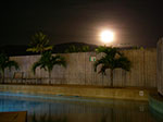 IMGP1581.jpg