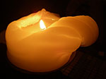 IMGP1591.jpg