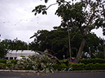 IMGP1707.jpg
