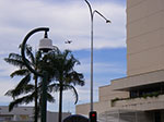 IMGP1718.jpg