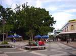 IMGP1719.jpg