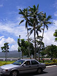 IMGP1823.jpg