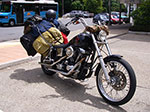IMGP1830.jpg
