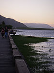 IMGP2031.jpg