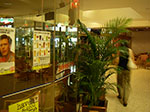IMGP2106.jpg