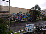 IMGP2126.jpg