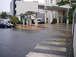 IMGP2133.jpg