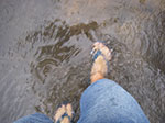 IMGP2134.jpg