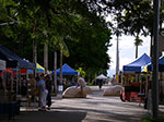 IMGP2181.jpg