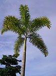IMGP2185.jpg