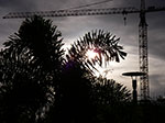 IMGP2193.jpg