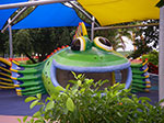IMGP2286.jpg