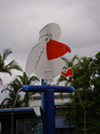 IMGP2289.jpg