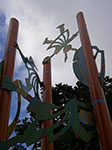 IMGP2290.jpg