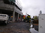 IMGP2293.jpg