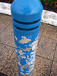 IMGP2300.jpg