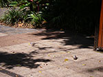 IMGP2331.jpg