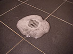 IMGP2341.jpg