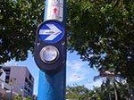 IMGP2394.jpg