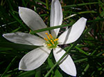 IMGP2397.jpg