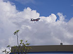 IMGP2401.jpg