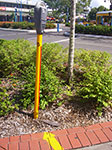 IMGP2406.jpg