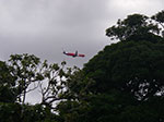 IMGP2421.jpg