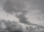 IMGP2426.jpg