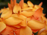 IMGP2565.jpg