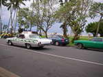 IMGP2575.jpg
