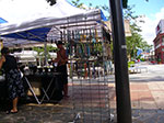 IMGP2590.jpg